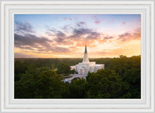 Load image into Gallery viewer, Houston from on High
