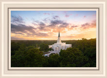 Load image into Gallery viewer, Houston from on High
