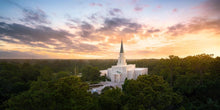 Load image into Gallery viewer, Houston from on High

