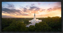 Load image into Gallery viewer, Houston from on High
