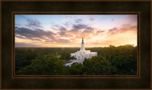 Load image into Gallery viewer, Houston from on High
