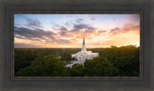 Load image into Gallery viewer, Houston from on High
