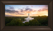 Load image into Gallery viewer, Houston from on High
