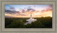 Load image into Gallery viewer, Houston from on High
