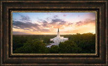Load image into Gallery viewer, Houston from on High
