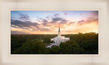 Load image into Gallery viewer, Houston from on High
