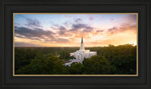 Load image into Gallery viewer, Houston from on High
