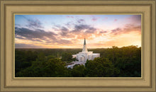 Load image into Gallery viewer, Houston from on High
