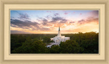 Load image into Gallery viewer, Houston from on High
