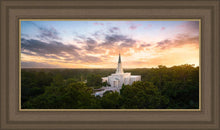 Load image into Gallery viewer, Houston from on High
