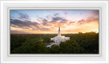 Load image into Gallery viewer, Houston from on High
