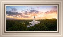 Load image into Gallery viewer, Houston from on High

