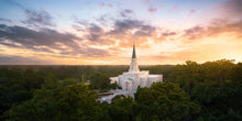 Load image into Gallery viewer, Houston from on High
