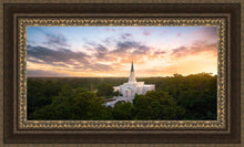 Load image into Gallery viewer, Houston from on High
