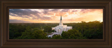 Load image into Gallery viewer, Houston from on High
