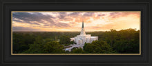 Load image into Gallery viewer, Houston from on High
