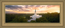 Load image into Gallery viewer, Houston from on High
