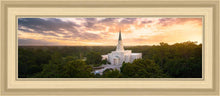 Load image into Gallery viewer, Houston from on High
