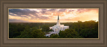 Load image into Gallery viewer, Houston from on High
