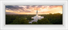 Load image into Gallery viewer, Houston from on High
