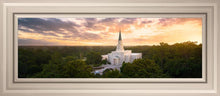 Load image into Gallery viewer, Houston from on High
