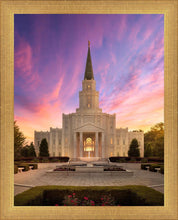 Load image into Gallery viewer, Houston Sunset
