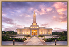 Load image into Gallery viewer, Indianapolis Pink Sunrise
