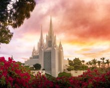 Load image into Gallery viewer, San Diego Flowers
