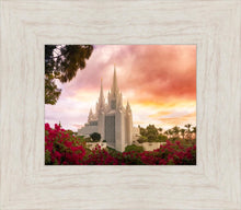 Load image into Gallery viewer, San Diego Flowers
