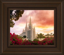 Load image into Gallery viewer, San Diego Flowers
