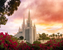 Load image into Gallery viewer, San Diego Flowers

