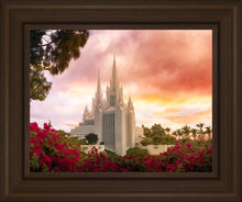 Load image into Gallery viewer, San Diego Flowers

