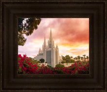Load image into Gallery viewer, San Diego Flowers
