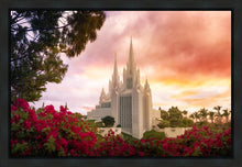 Load image into Gallery viewer, San Diego Flowers
