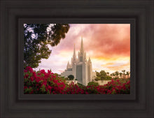 Load image into Gallery viewer, San Diego Flowers
