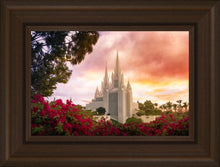 Load image into Gallery viewer, San Diego Flowers
