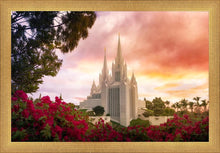 Load image into Gallery viewer, San Diego Flowers
