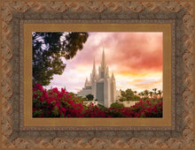 Load image into Gallery viewer, San Diego Flowers
