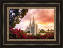 Load image into Gallery viewer, San Diego Flowers
