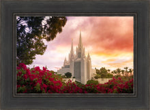 Load image into Gallery viewer, San Diego Flowers
