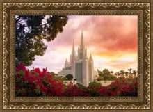 Load image into Gallery viewer, San Diego Flowers
