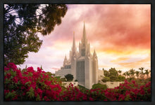 Load image into Gallery viewer, San Diego Flowers
