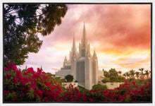 Load image into Gallery viewer, San Diego Flowers
