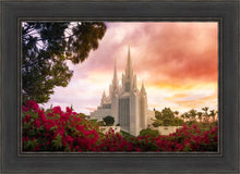 Load image into Gallery viewer, San Diego Flowers
