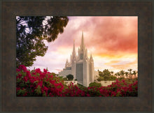 Load image into Gallery viewer, San Diego Flowers
