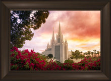 Load image into Gallery viewer, San Diego Flowers

