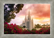 Load image into Gallery viewer, San Diego Flowers
