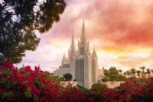 Load image into Gallery viewer, San Diego Flowers
