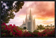 Load image into Gallery viewer, San Diego Flowers
