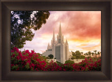 Load image into Gallery viewer, San Diego Flowers
